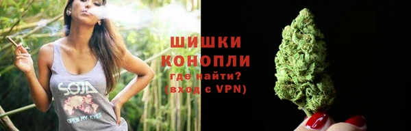 тгк Новодвинск